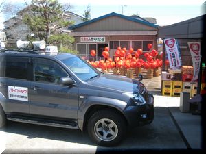 日課のパトロール